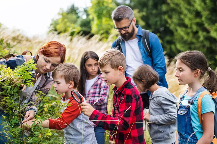 Brick School Trip Bus Rentals