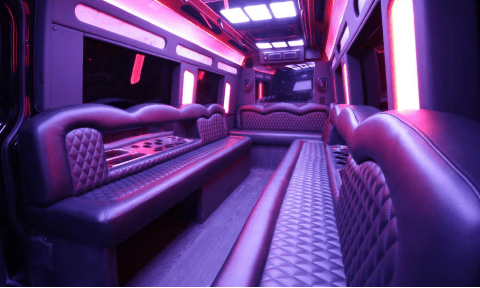 Cherry Hill 14 Passenger Sprinter Bus Interior
